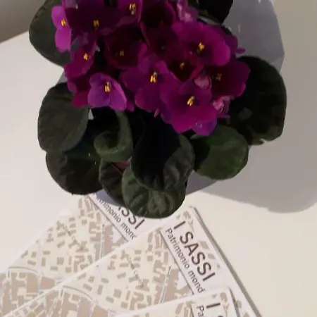 Le Note Dei Sassi Ferienhaus *