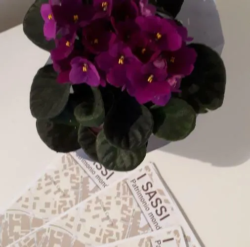 Le Note Dei Sassi Hébergement de vacances *